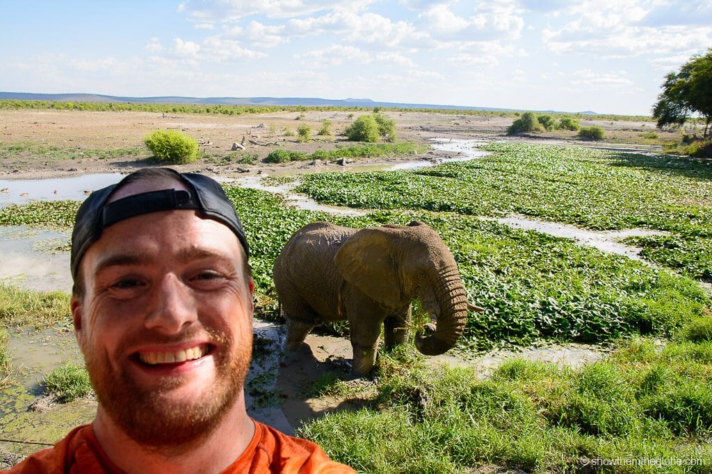 Safari with a baby