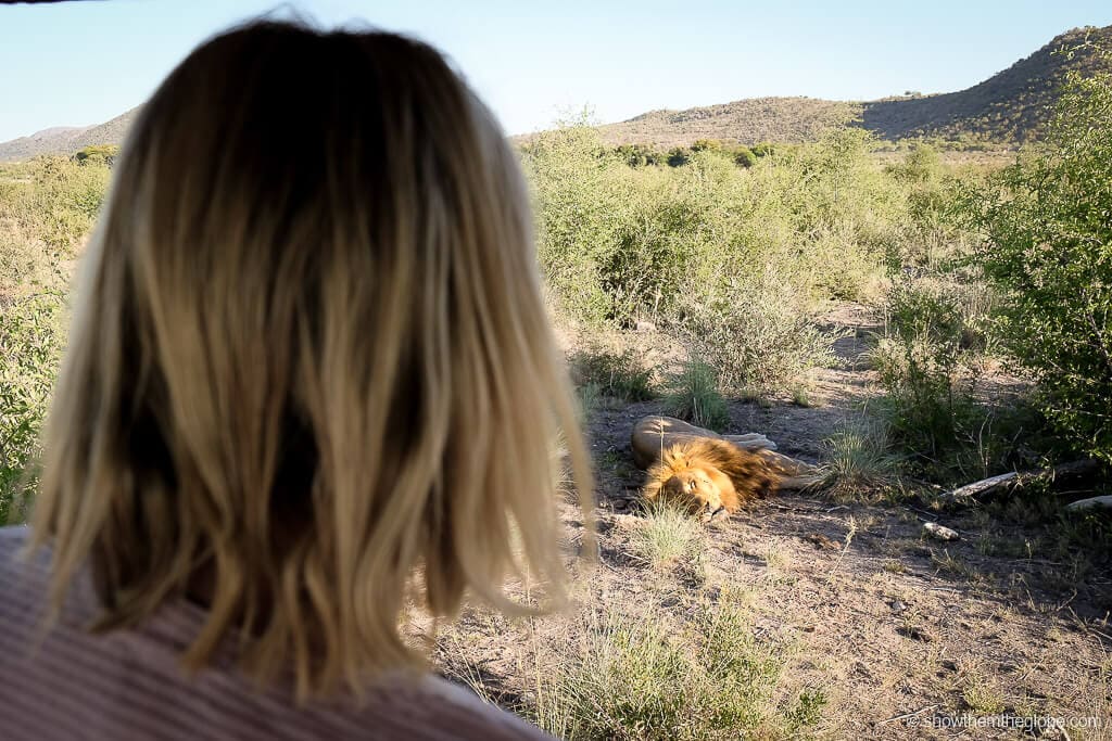 Safari with a baby