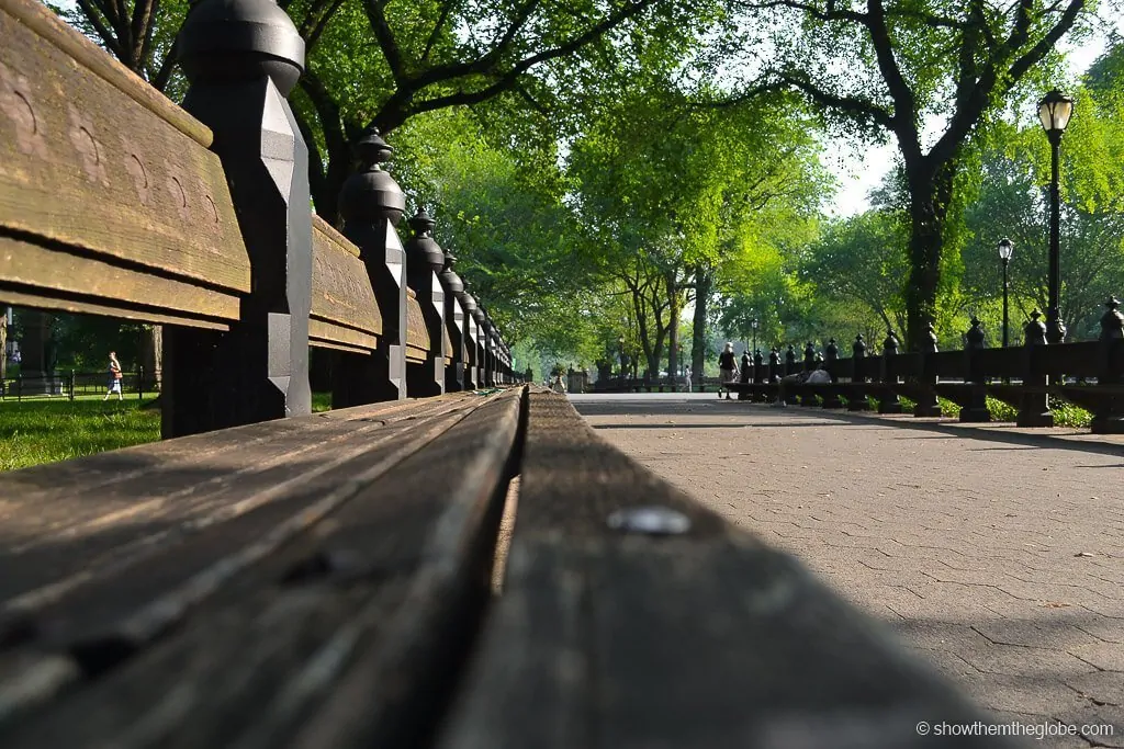 Things to do in Central Park with Kids