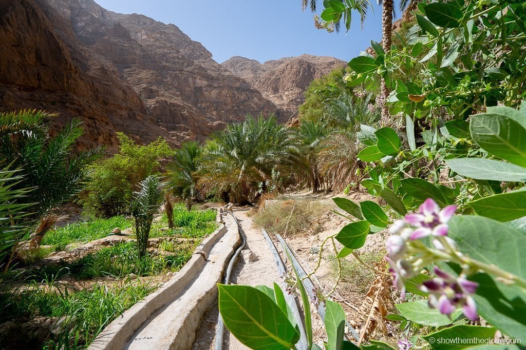 Oman with kids itinerary