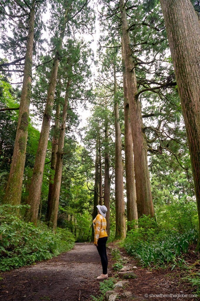 Things to do in Hakone with Kids