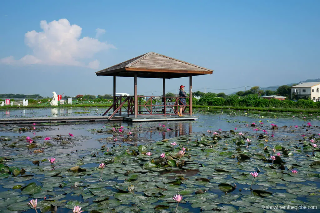 Zhongshe Flower Market Taichung Taiwan