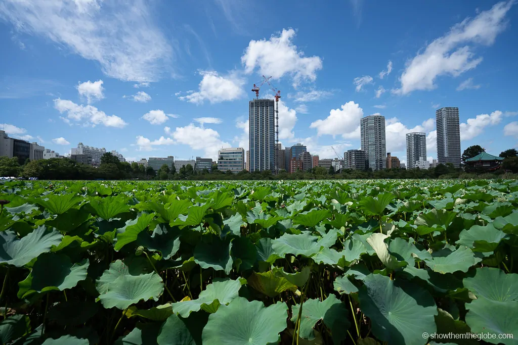 places to visit in tokyo with family