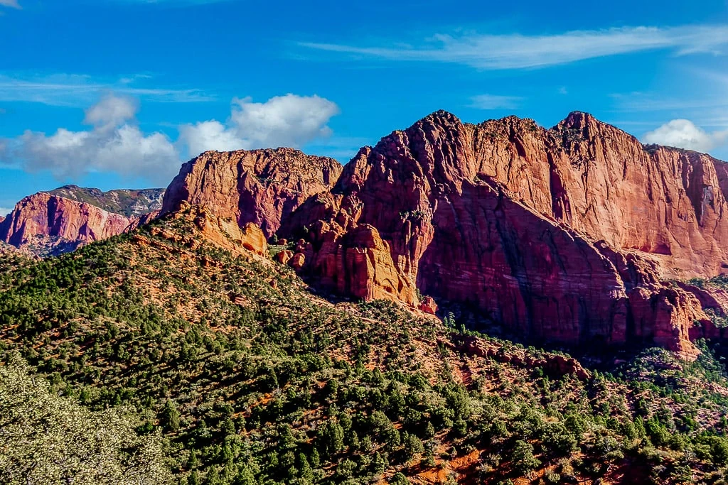 Zion Hikes with Kids