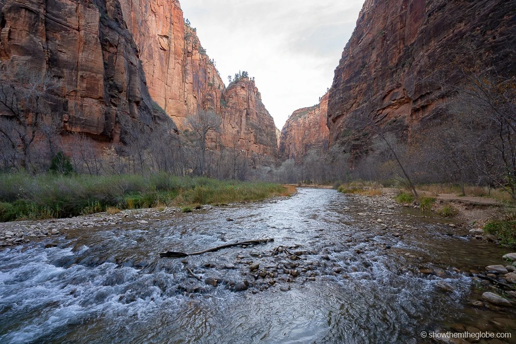 Zion Hikes with Kids