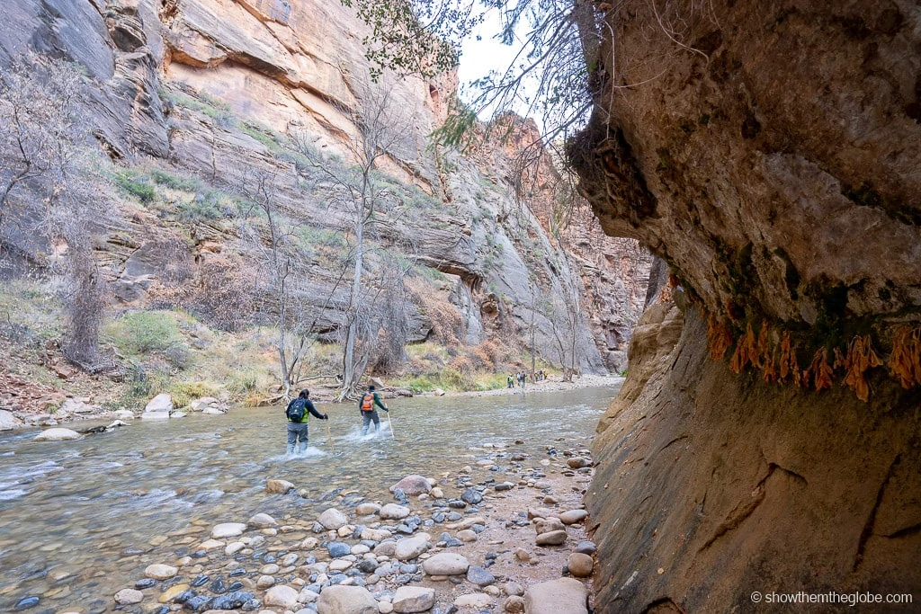 Zion Hikes with Kids