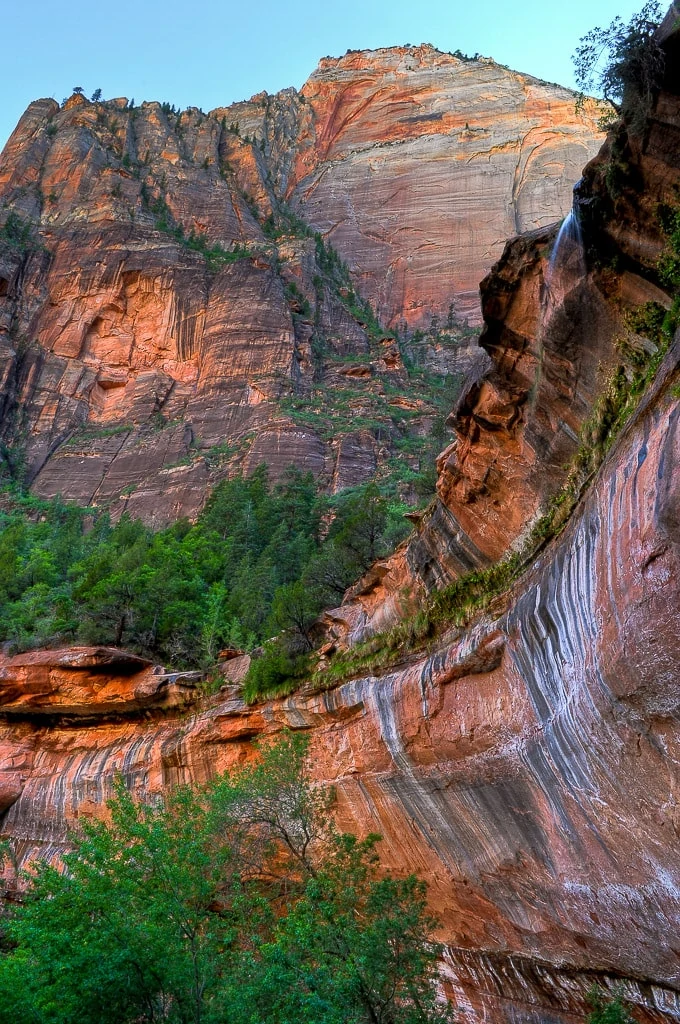 Zion Hikes with Kids