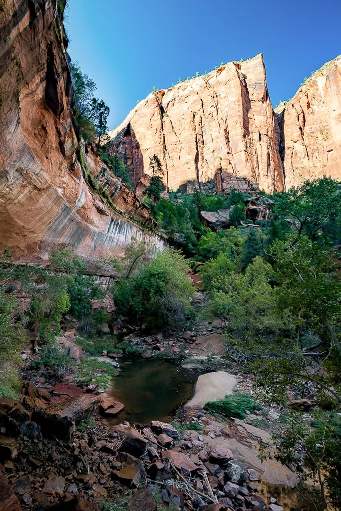 Zion Hikes with Kids