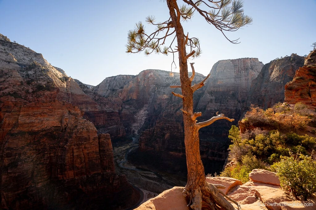 Zion Hikes with Kids