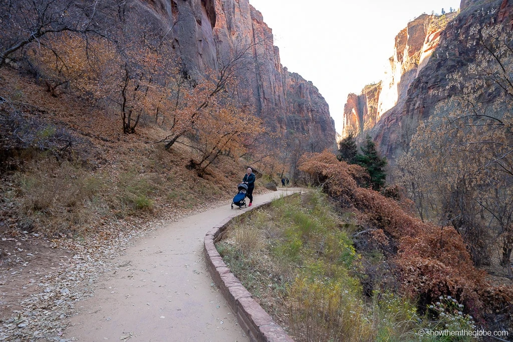 Zion National Park with Kids