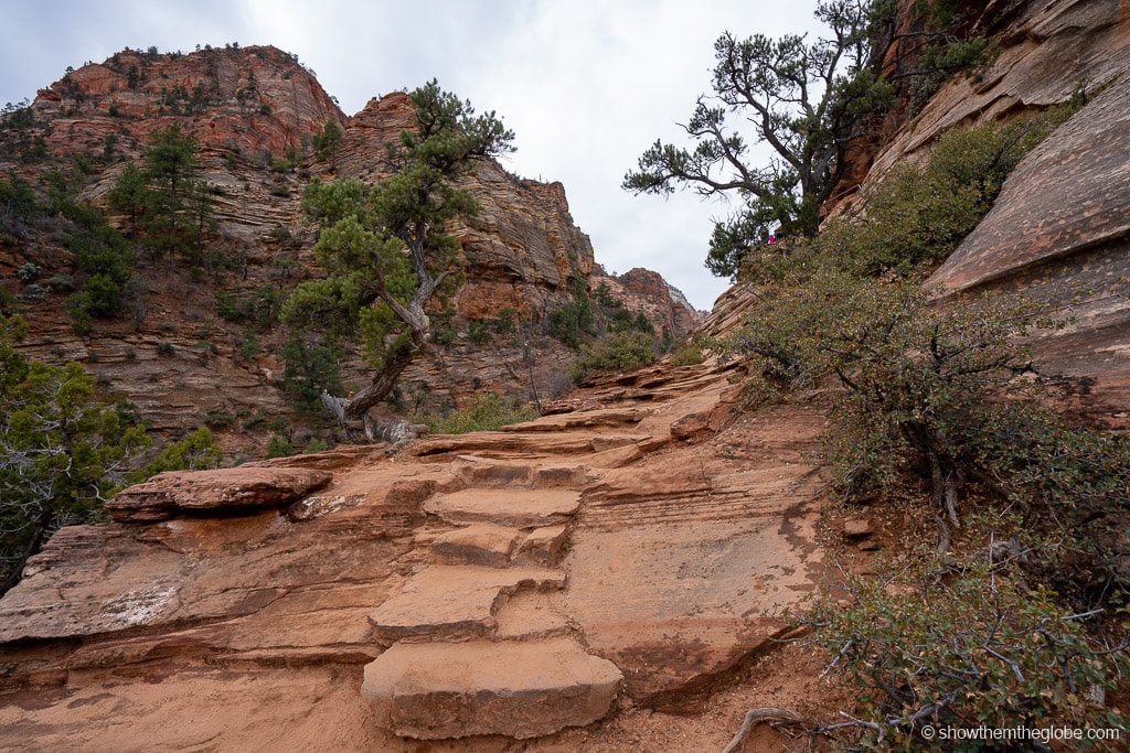 Zion National Park with Kids