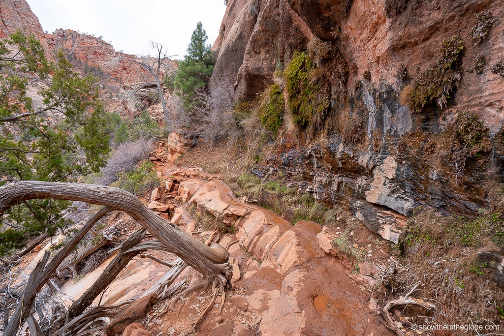 Zion National Park with Kids