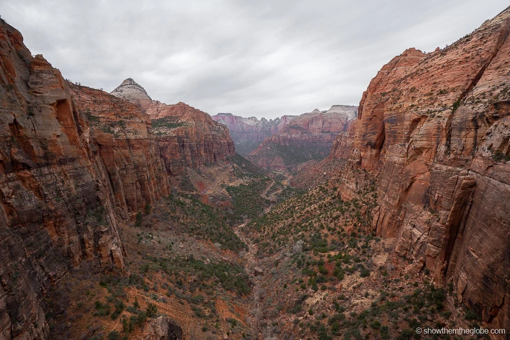 are dogs allowed in zion park