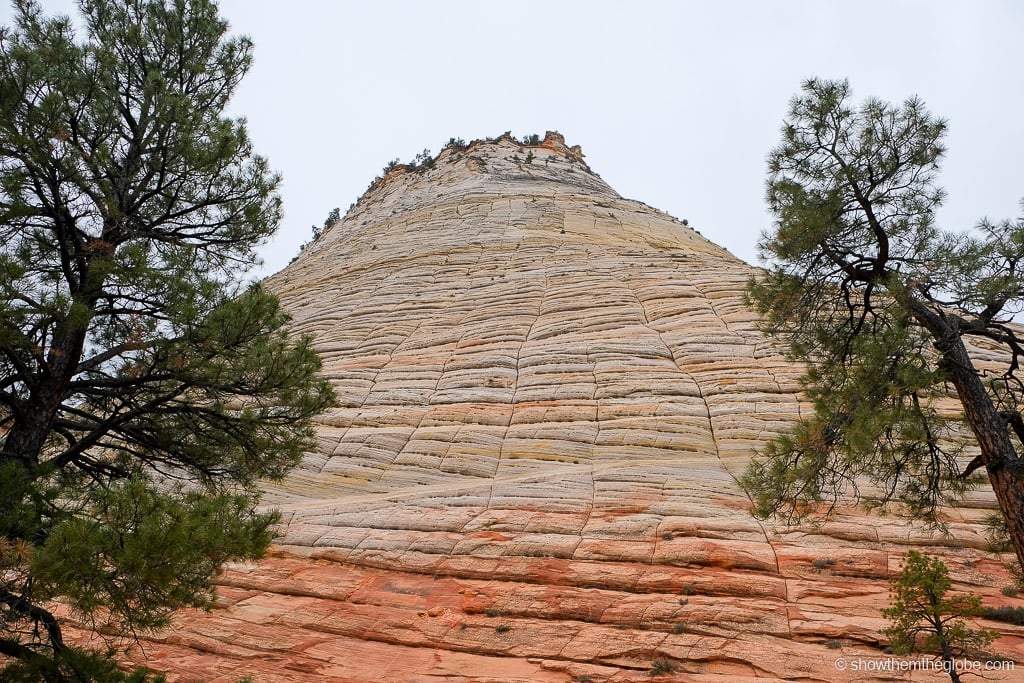 Zion National Park with Kids