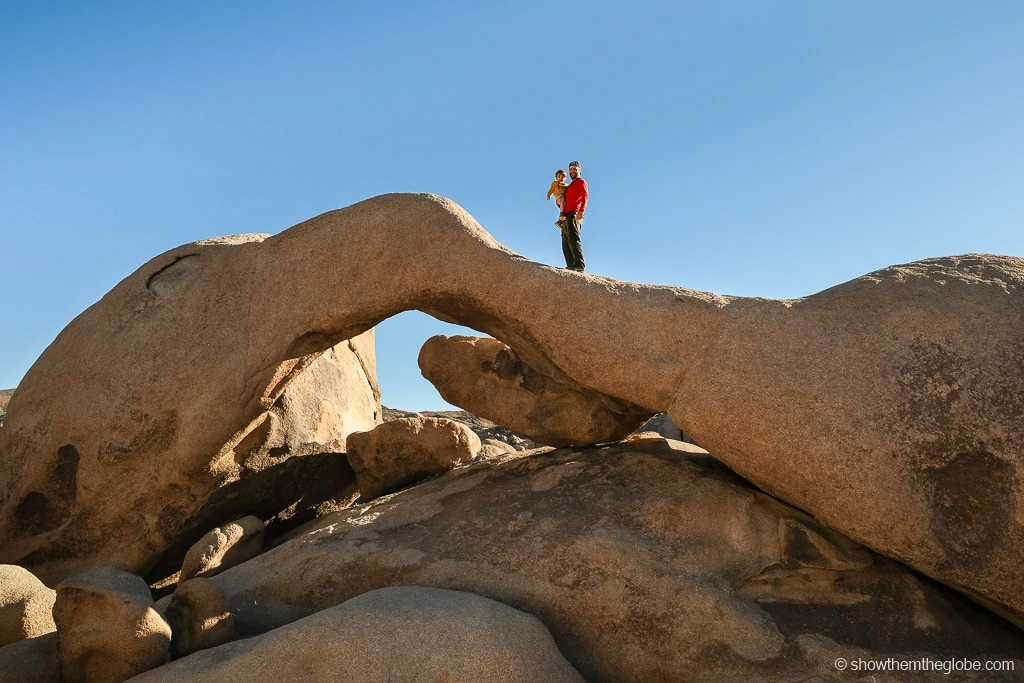 Joshua Tree with Kids