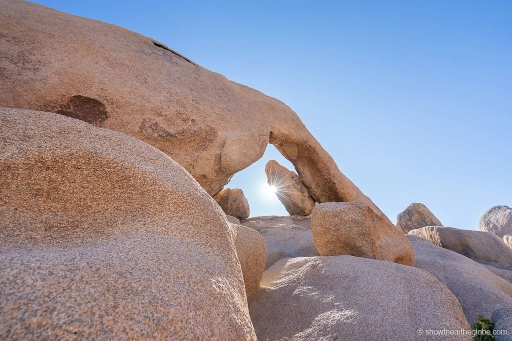 Joshua Tree with Kids