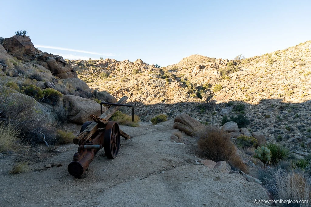 Joshua Tree with Kids