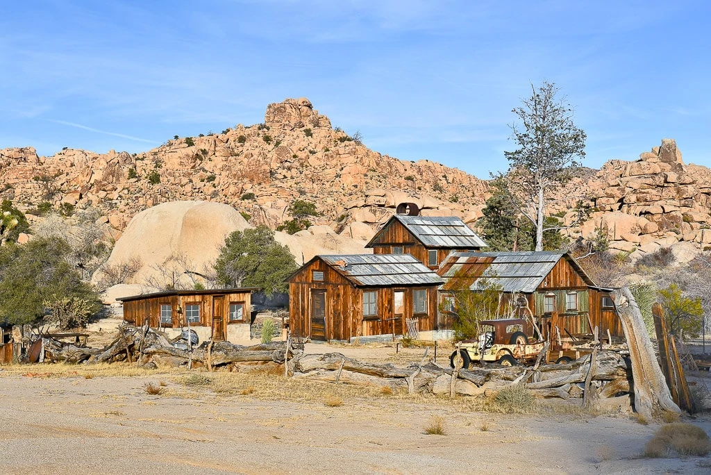 Joshua Tree with Kids