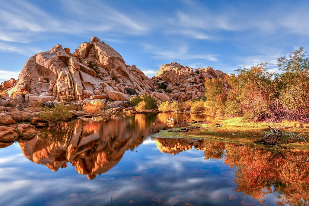 15 Things to do in Joshua Tree with Kids (2022) | Show Them The Globe
