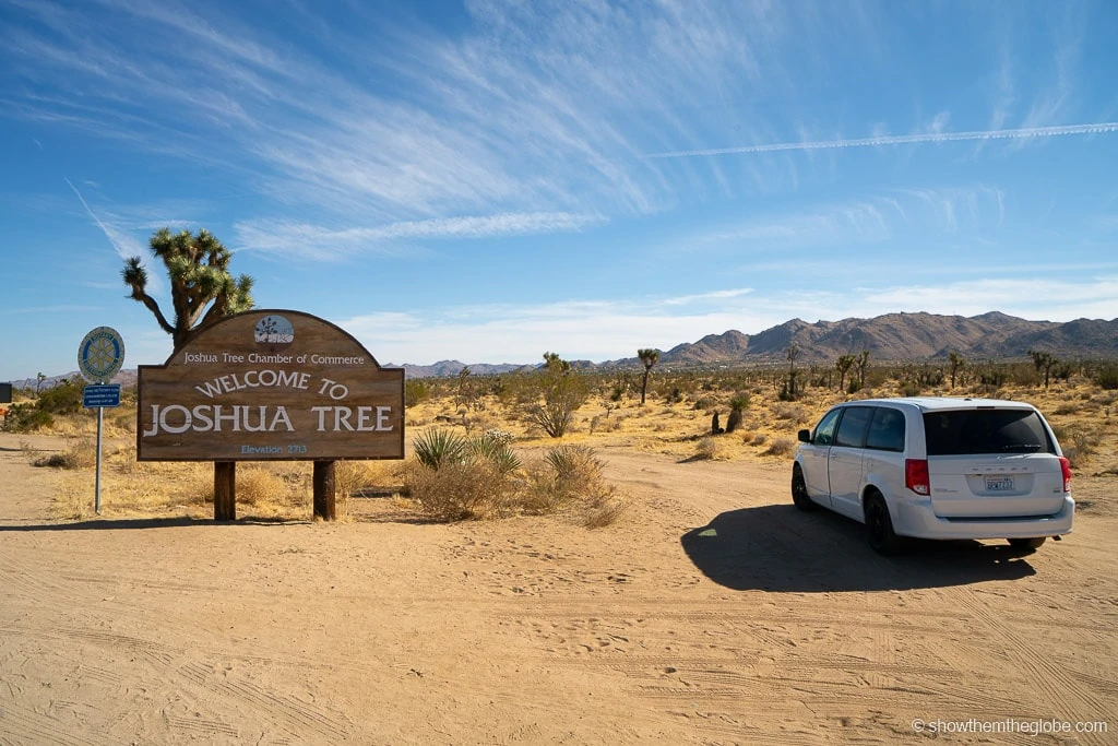 Joshua Tree with Kids