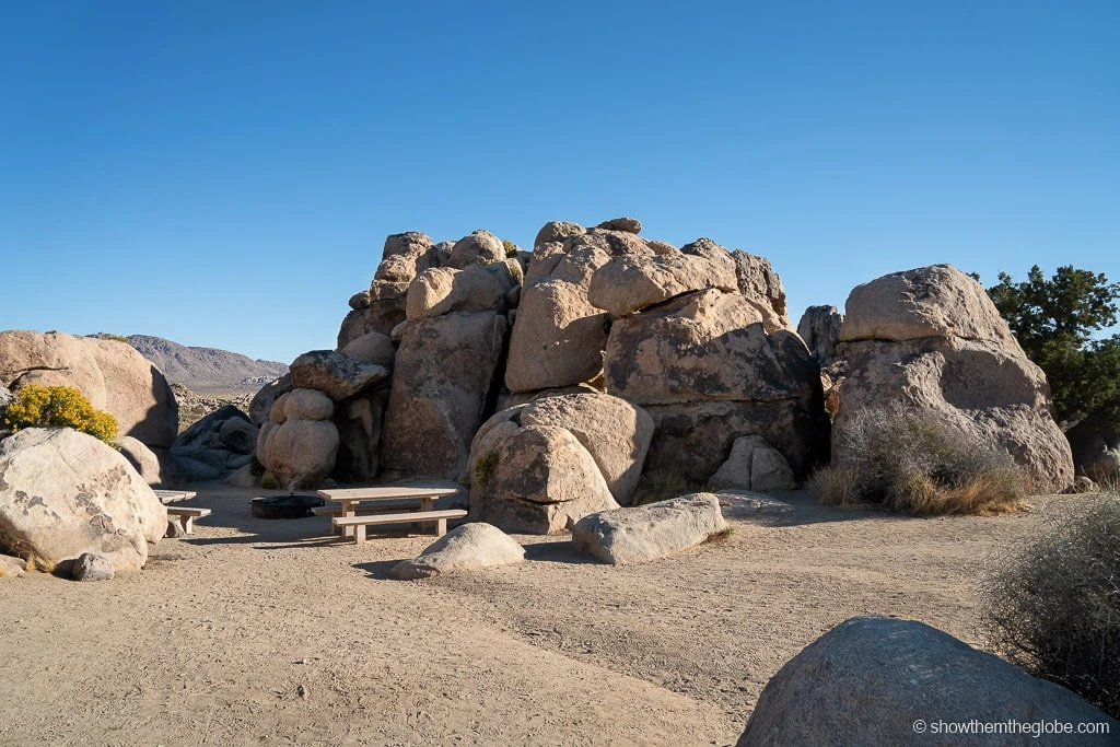 Joshua Tree with Kids