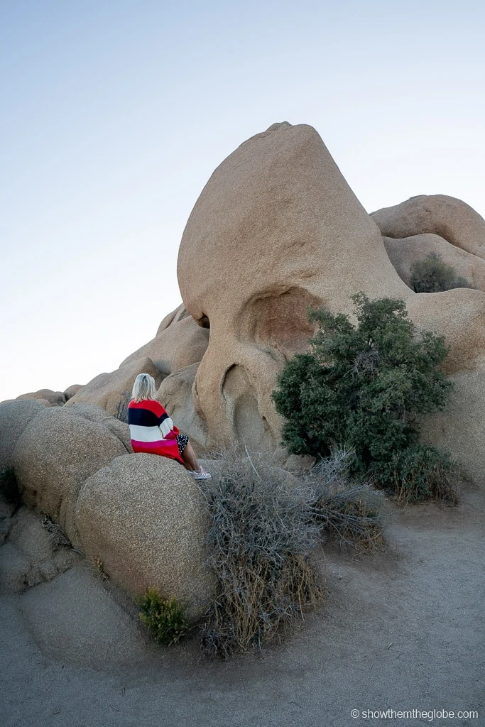 Joshua Tree with Kids