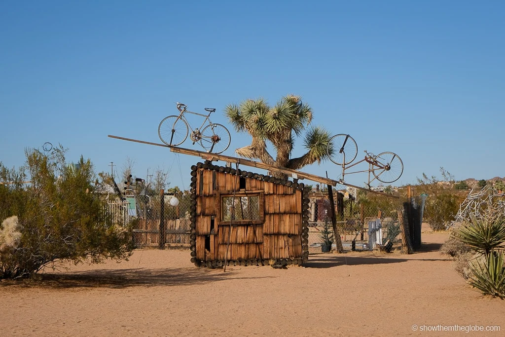 Joshua Tree with Kids