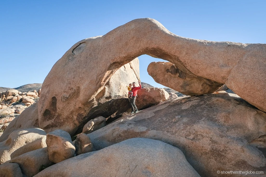 Joshua Tree with Kids