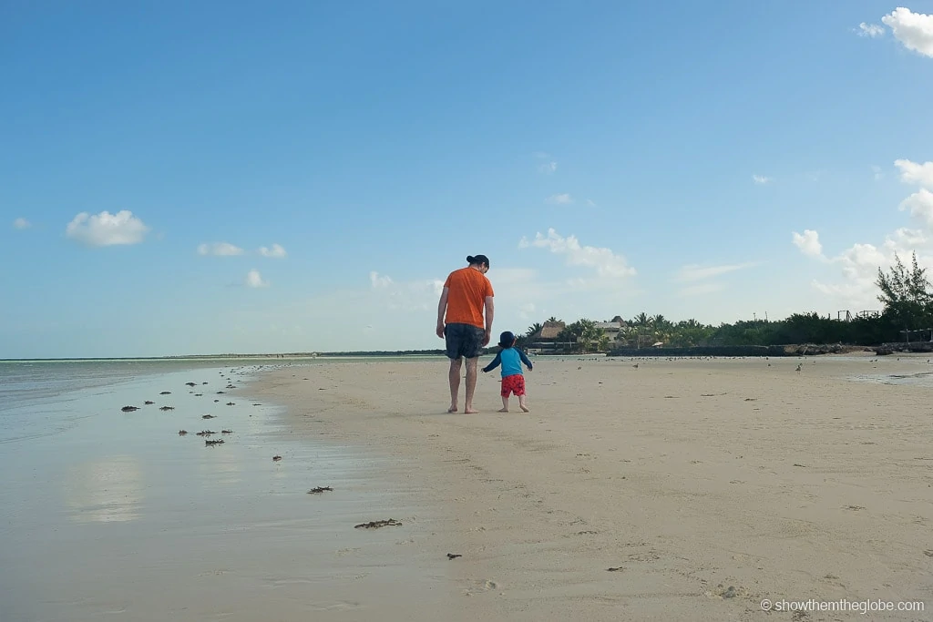 Things to do in Holbox with Kids