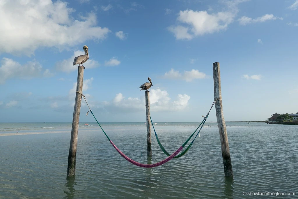 Things to do in Holbox with Kids