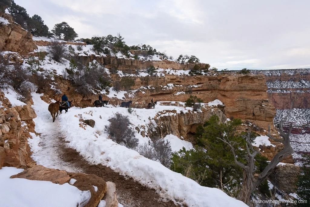 Things to do Grand Canyon with Kids