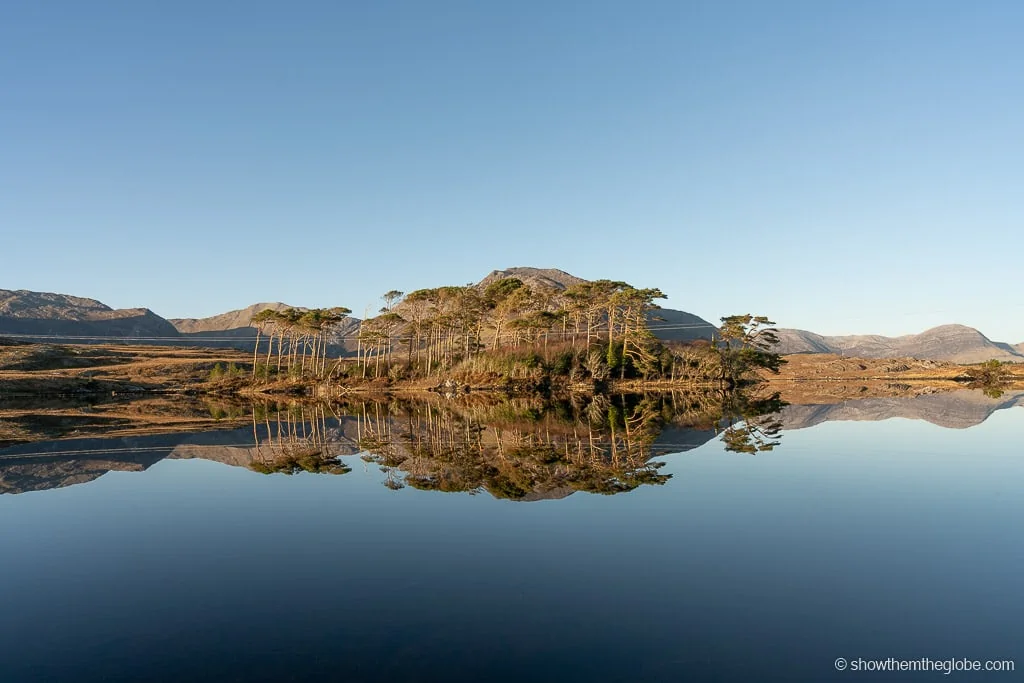 Things to do in Galway with Kids