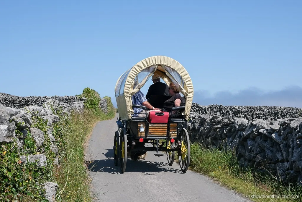 Things to do in Galway with Kids