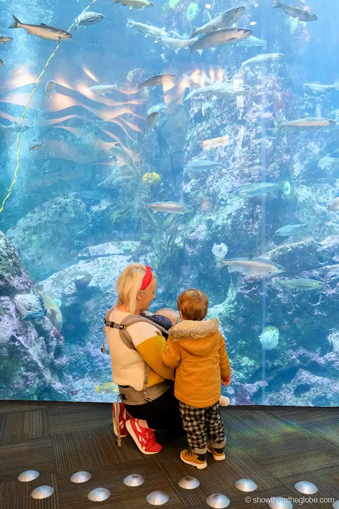 Things to do in Seattle with Toddlers