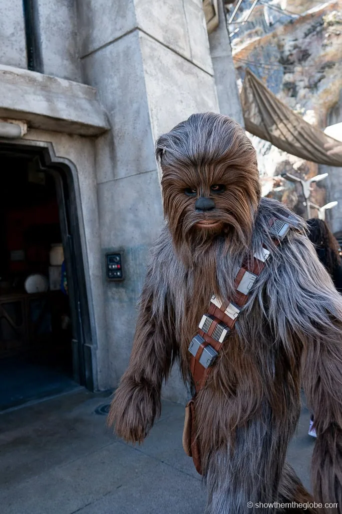 Disneyland California Baby Friendly Rides
